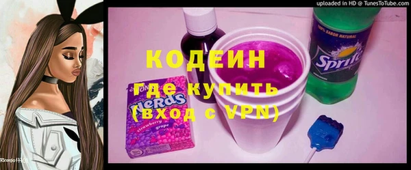 мдпв Бородино