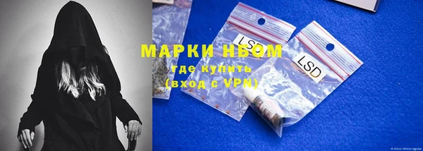 мдпв Бородино