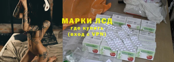 мдпв Бородино