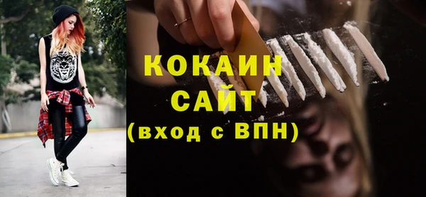 мдпв Бородино