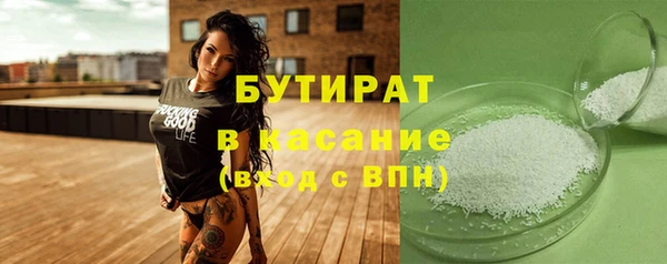 мдпв Бородино