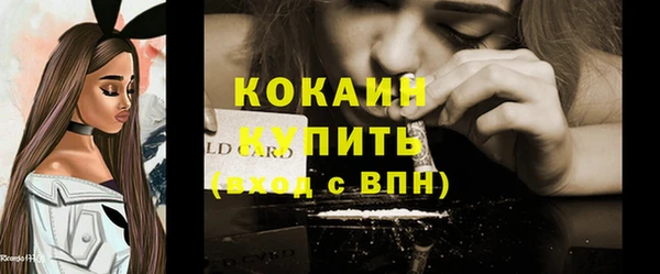 мдпв Бородино