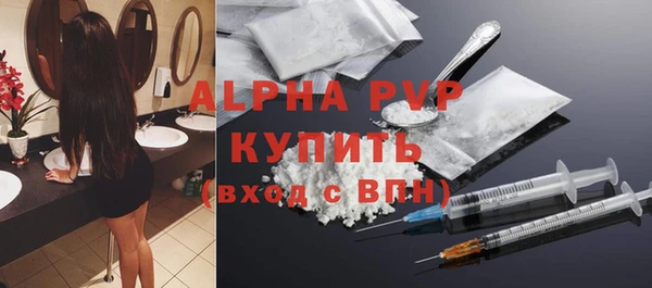 мдпв Бородино