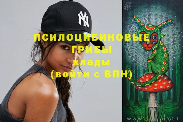 бошки Бугульма