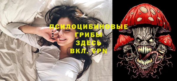 СК Бронницы