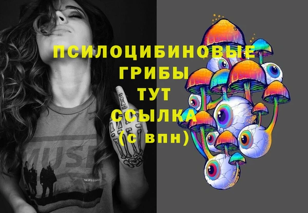 СК Бронницы