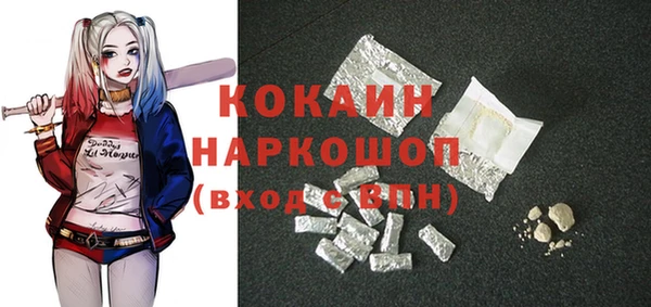 СК Бронницы