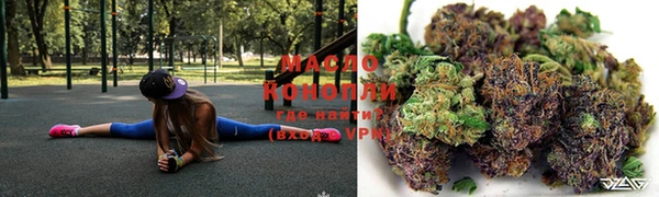 мдпв Бородино