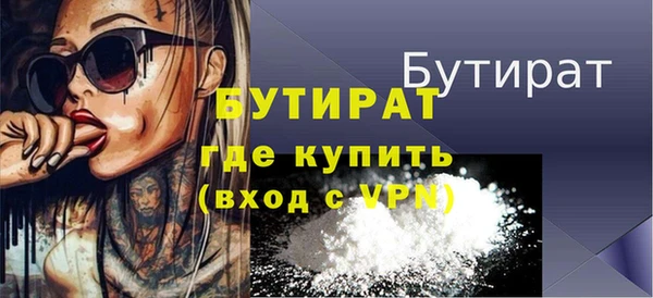 мдпв Бородино