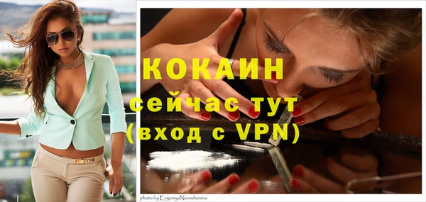 мдпв Бородино