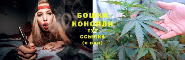 СК Бронницы