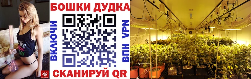 Канабис VHQ Миасс